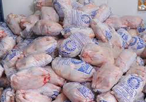 بهره برداری از بزرگ‌ترین واحد تولید مرغ گوشتی