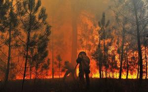 مهار 12 مورد آتش سوزی در مراتع دزفول