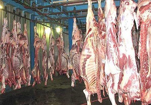 قاچاق دام عامل افزایش قیمت گوشت است /وزارت جهاد واردات انجام دهد
