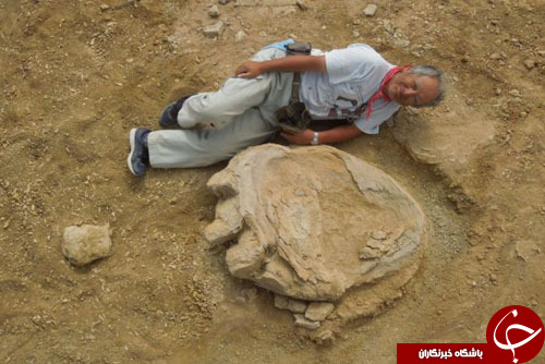 کشف ردپای بزرگترین دایناسور تاریخ در مغولستان+ تصاویر