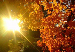 آسمانی آفتابی در سومین روز از فصل برگ ریز پاییز