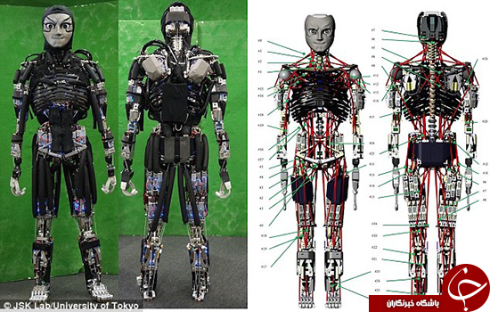 با «کنگورو» ربات انسان‌نمای جدید آشنا شوید +تصاویر