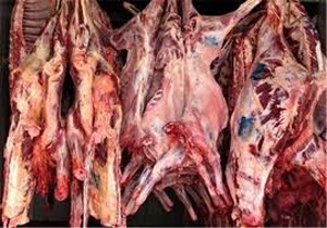 کشف بیش از 4300 کیلوگرم گوشت غیر قابل مصرف