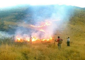 آتش سوزی در 21 هکتار از مراتع شهرستان نیر