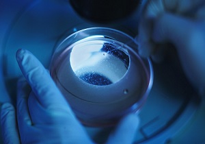 موفقیت باورنکردنی دانشمندان ژاپنی؛ تولید تخمک بالغ با استفاده از سلول پوست