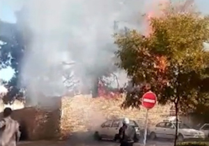 آتش‌سوزی چند اصله درخت در مشهد + فیلم