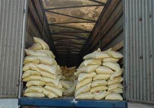 کشف500 کيلو برنج سرقتی در بهشهر