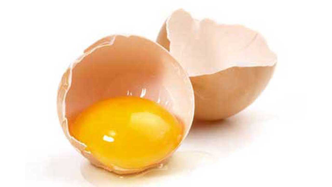 توقف صادرات تخم مرغ در راه است