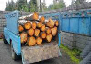 کشف و ضبط 600 کیلو گرم چوب قاچاق در آران و بیدگل