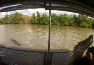 حمله تمساح گرسنه به قایق گردشگران + فیلم
