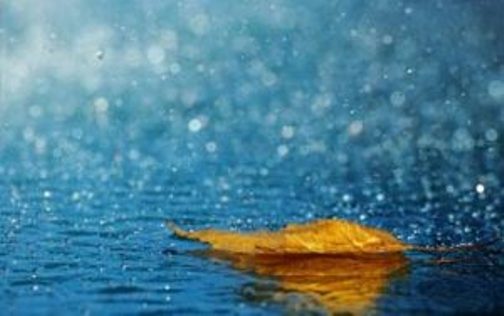 بارش باران اسیدی، واقعیت یا شایعه ؟