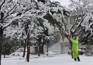 آماده باش نیروهای شهرداری اردبیل در پی بارش برف