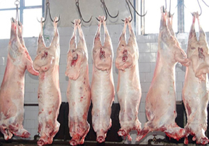 گوشت گوسفندی ارزان شد/ احتمال کاهش بیشتر قیمت گوشت تا اربعین