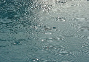 بارش باران هم اکنون در ایلام