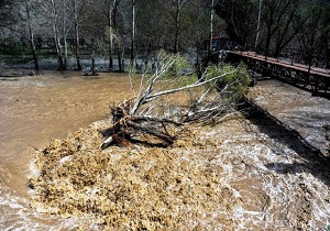 بیشترین ورودی سیلاب پاییزی در سدهای حوضه خلیج فارس و دریای عمان/احتمال بروز مجدد سیلاب در پایان هفته