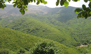 90درصد از منابع طبیعی استان سندداراست