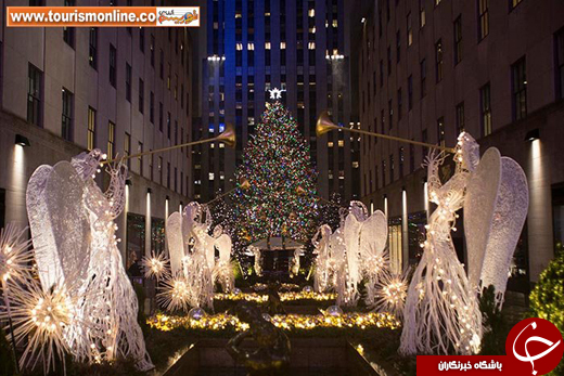 عکس/ بزرگترین درخت کریسمس را ببینید