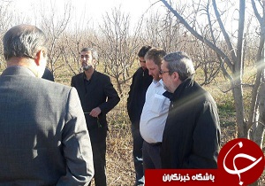 اجرای طرح سیستم آبیاری نوین در باغات جمال آباد قزوین