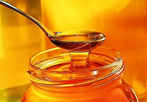 تولید سالانه بیش از 600 تن عسل در شهرستان خلخال