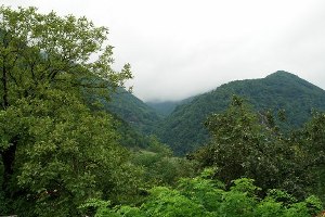 پیشنهاد منطقه جنگلی حیران-بی بی یانلو به عنوان ششمین منطقه حفاظت شده
