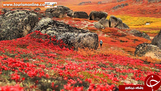 عکس/ رنگی‌ترین نقاط دنیا در پاییز