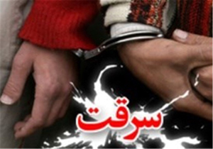 کشف 75 فقره سرقت از دو سارق در شیراز