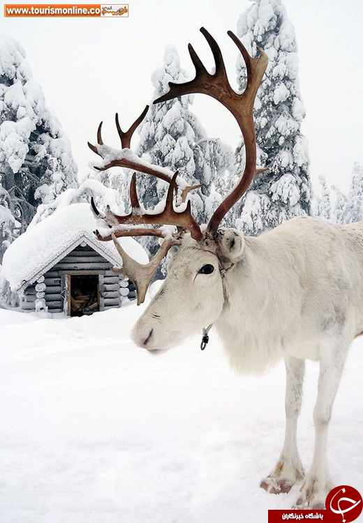 عکس/ دوست داشتنی ترین مناطق زمستانی برای گردشگران