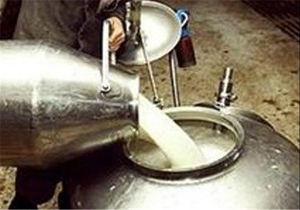 تولید شیر در شهرستان شهرضا روزانه به ۲۵۰ تن می‌رسد