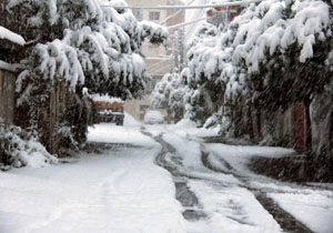 آخرین وضعیت مناطق برفی مازندران