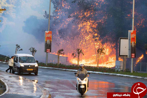 ادامه آتش‌سوزی‌های گسترده در شمال اراضی اشغالی+ تصاویر