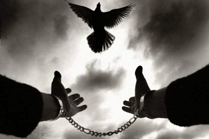 آزادی 217 زندانی جرائم غیرعمد در استان مرکزی