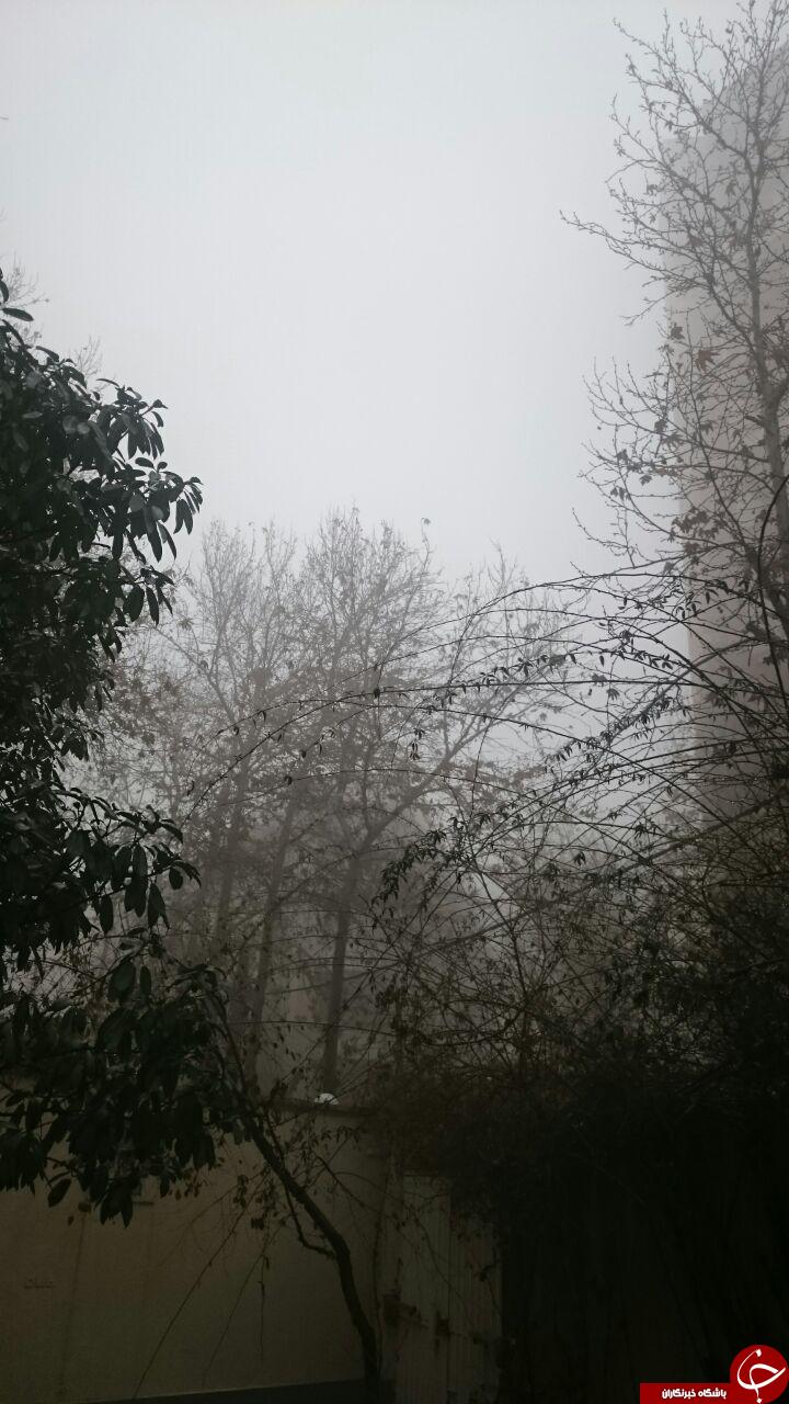 پدیده مه گرفتگی در کلاردشت + تصاویر