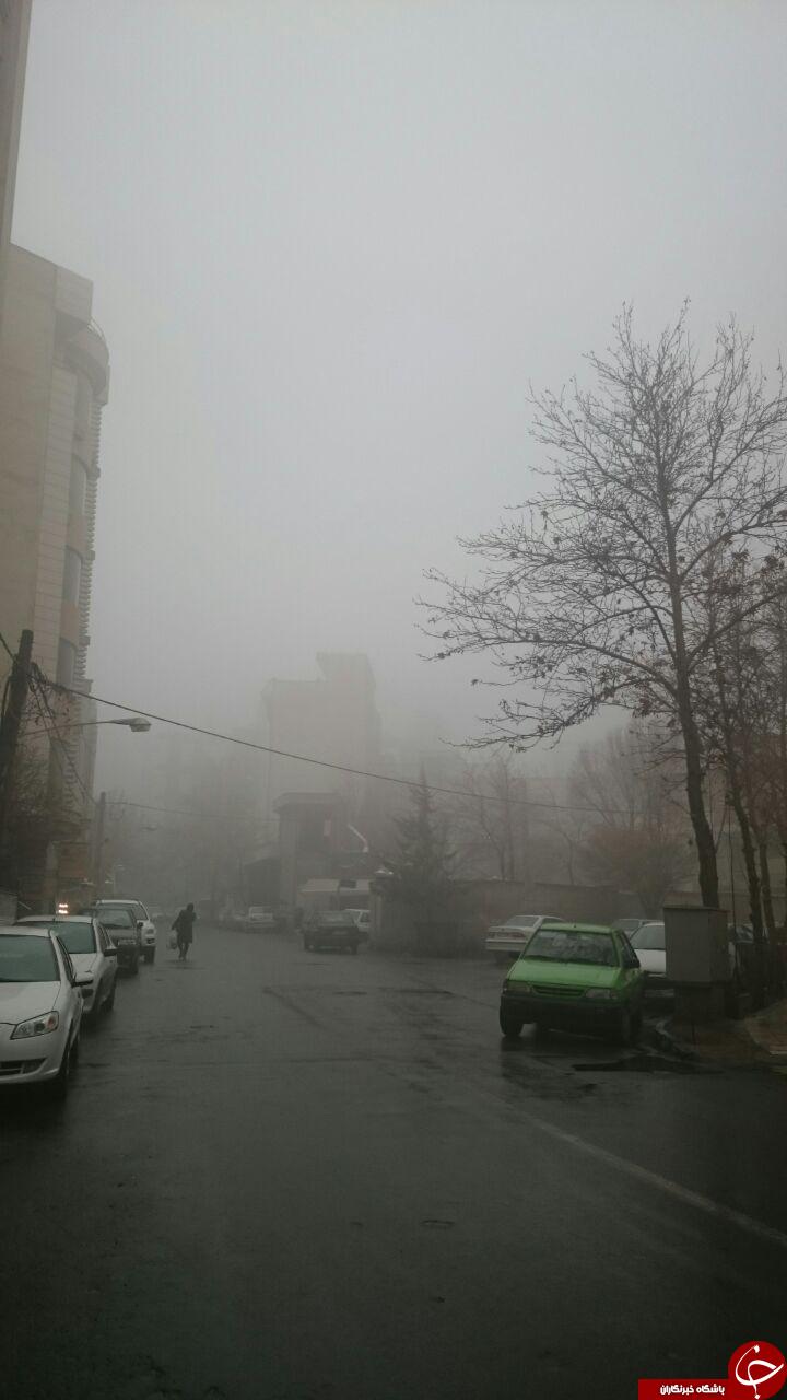 پدیده مه گرفتگی در کلاردشت + تصاویر
