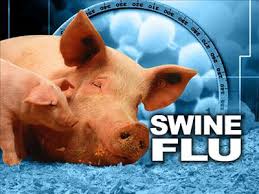 مرگ یکصد نفر در پی شیوع آنفلوآنزای خوکی در هند