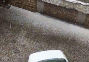 بارش تگرگ ارومیه را سفید پوش کرد + فیلم