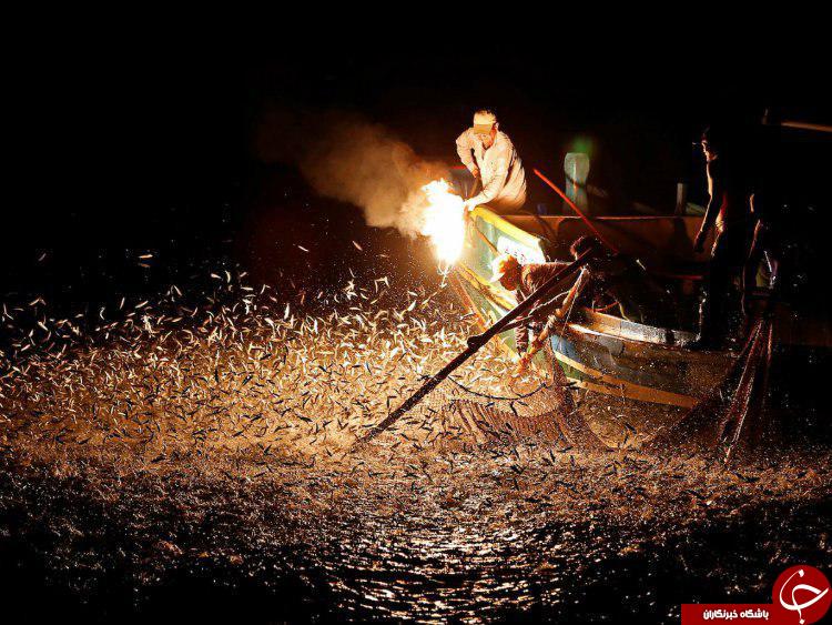 روش عجیب مرد تایوانی برای ماهیگیری