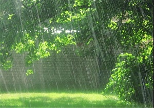 وزش باد و بارش باران تا 72 ساعت آینده در استان