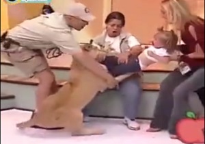 لحظه حمله شیر به کودک در برنامه زنده + فیلم