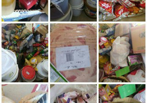 جمع آوری بیش از 2 هزار کیلوگرم مواد غذایی فاسد در بوئین میاندشت