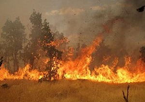 مهار آتش‌سوزی در اراضی جنگلی حاشیه رودخانه ارس