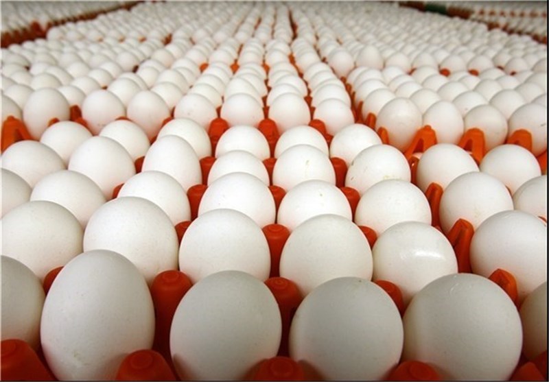 عرصه  ۳۰ تن تخم مرغ با نرخ مصوب در بازار از امروز