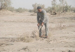 جمع آوری بیش از هشتصد تله زنده گیری هوبره در ایرانشهر