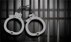 دستگیری ۲ سارق حرفه‌ای در چرداول