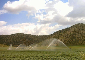 افزایش بهره وری آب کشاورزی با وجود کاهش بارندگی‌ها