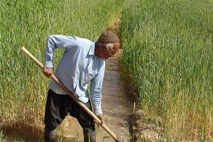 ضرورت آگاه سازی کشاورزان نسبت به منابع آبی