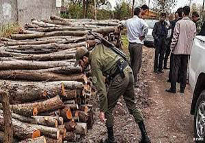 قاچاقچیان سابقه دار چوب در  دام محیط بانان سوادکوه