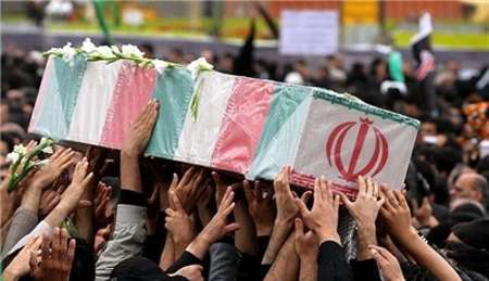 لحظاتی با یک کبوتر گلگون کفن