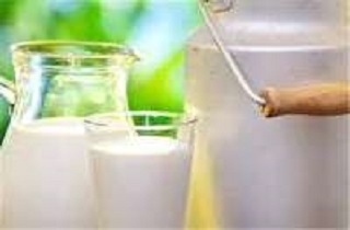 تولید روزانه ۶۵۰ تن شیر در استان یزد