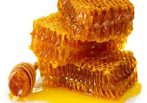 افزایش شش درصدی تولید عسل در خراسان شمالی