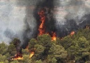 کاهش آتش سوزی در جنگل و مراتع خلخال